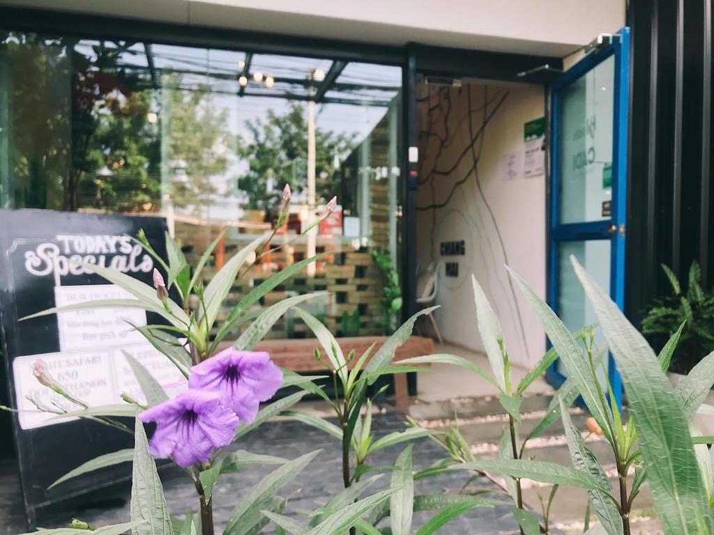 Auberge de jeunesse Bloomz *