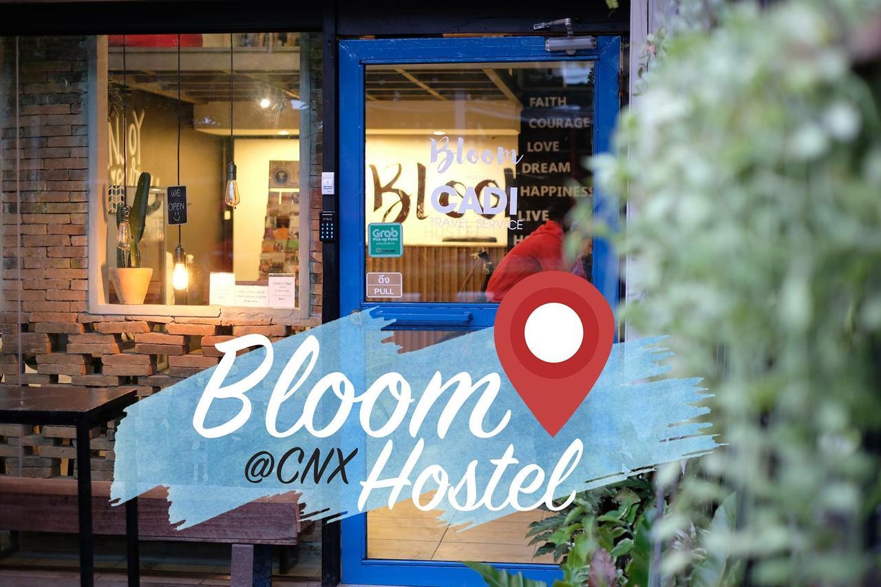 Auberge de jeunesse Bloomz *